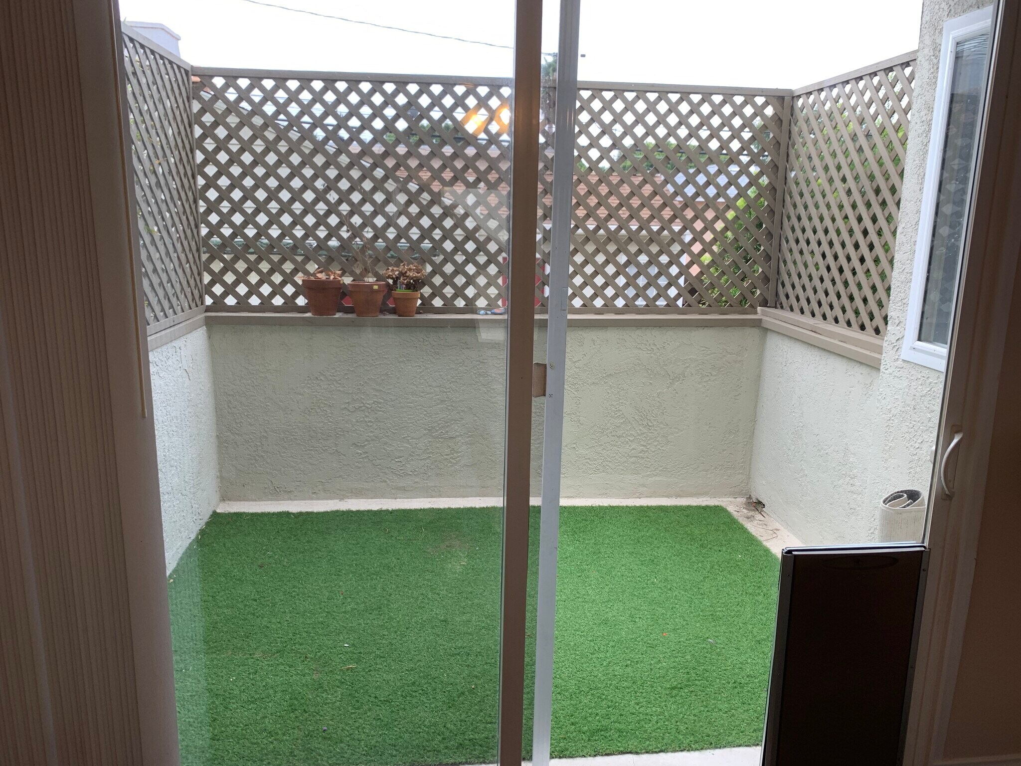 Back patio - 1232 Stanford St