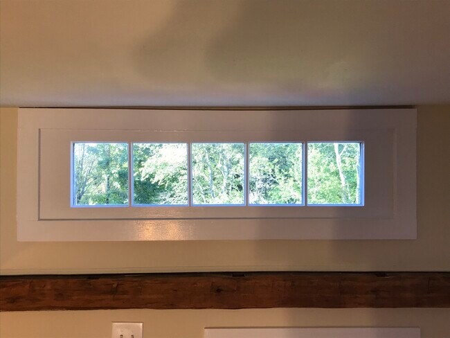 view to back yard - 49 School St