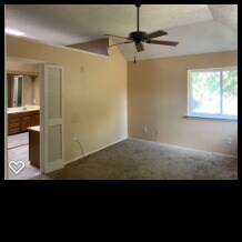 Master Bedroom - 4925 Tree Top Ln