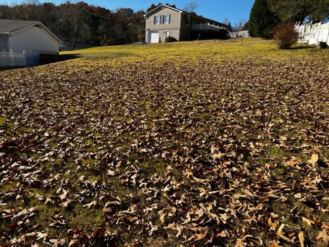 Building Photo - Oak Ridge 37830 - 3 bedroom, 1.5 bath home upstairs only with basement bonus room - Call Troy Ada...