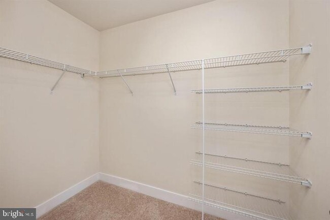 Building Photo - 219 Strummer Ln