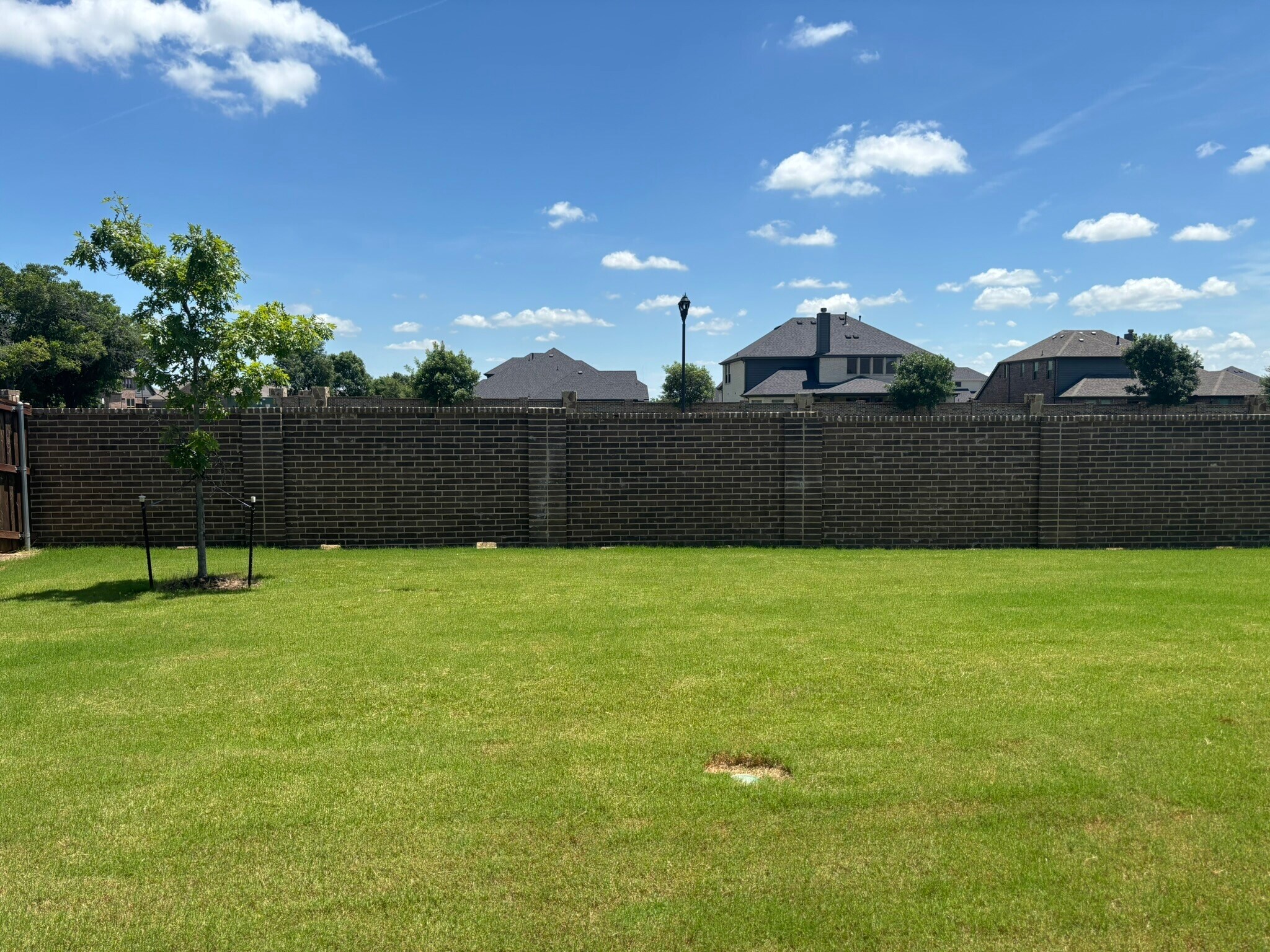 Building Photo - 1702 Trellis Dr