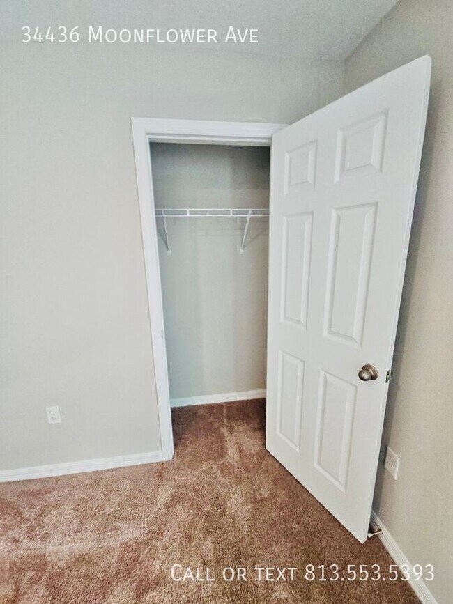 Building Photo - 34436 Moonflower Ave