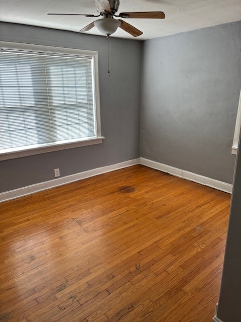 Building Photo - 5614 Chippewa St