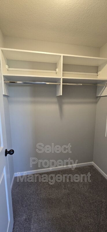 Building Photo - 353 Zebulon Cove