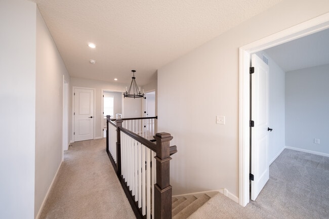 Building Photo - 3849 Thrush St