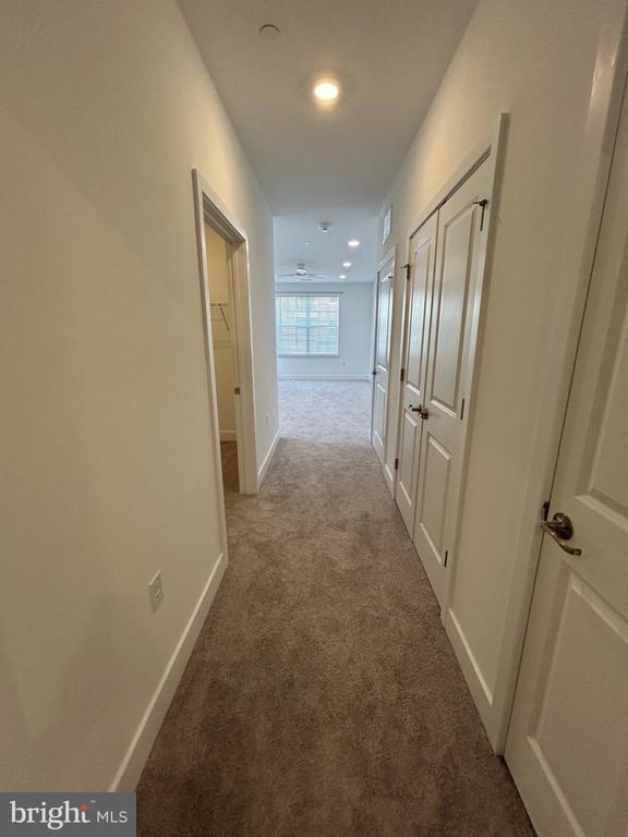 Building Photo - 29212 Radford Ct