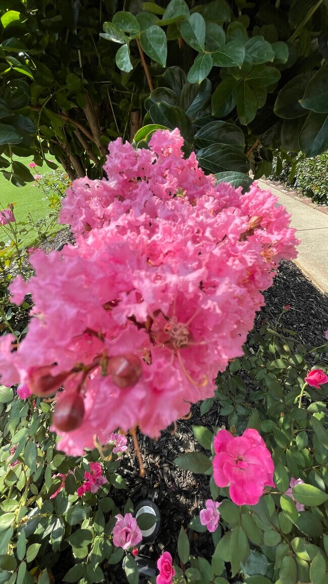 Building Photo - 1430 Juneau Way