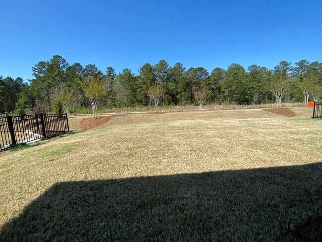 Building Photo - Brand new construction home in the desirable Brunswick Forest subdivision