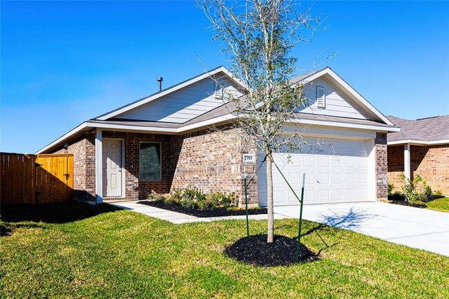 Building Photo - 7351 Gorrion Dr