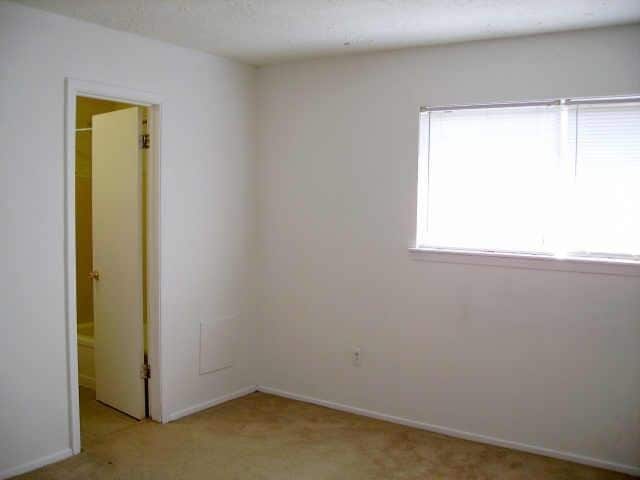 Building Photo - 810 Terryhollow St