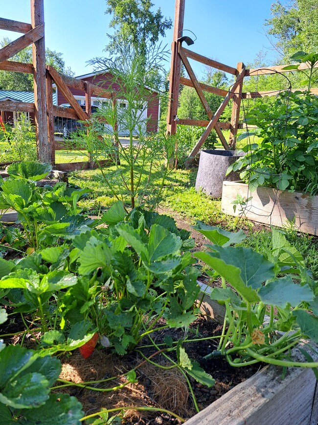 Building Photo - 9374 Alango Rd