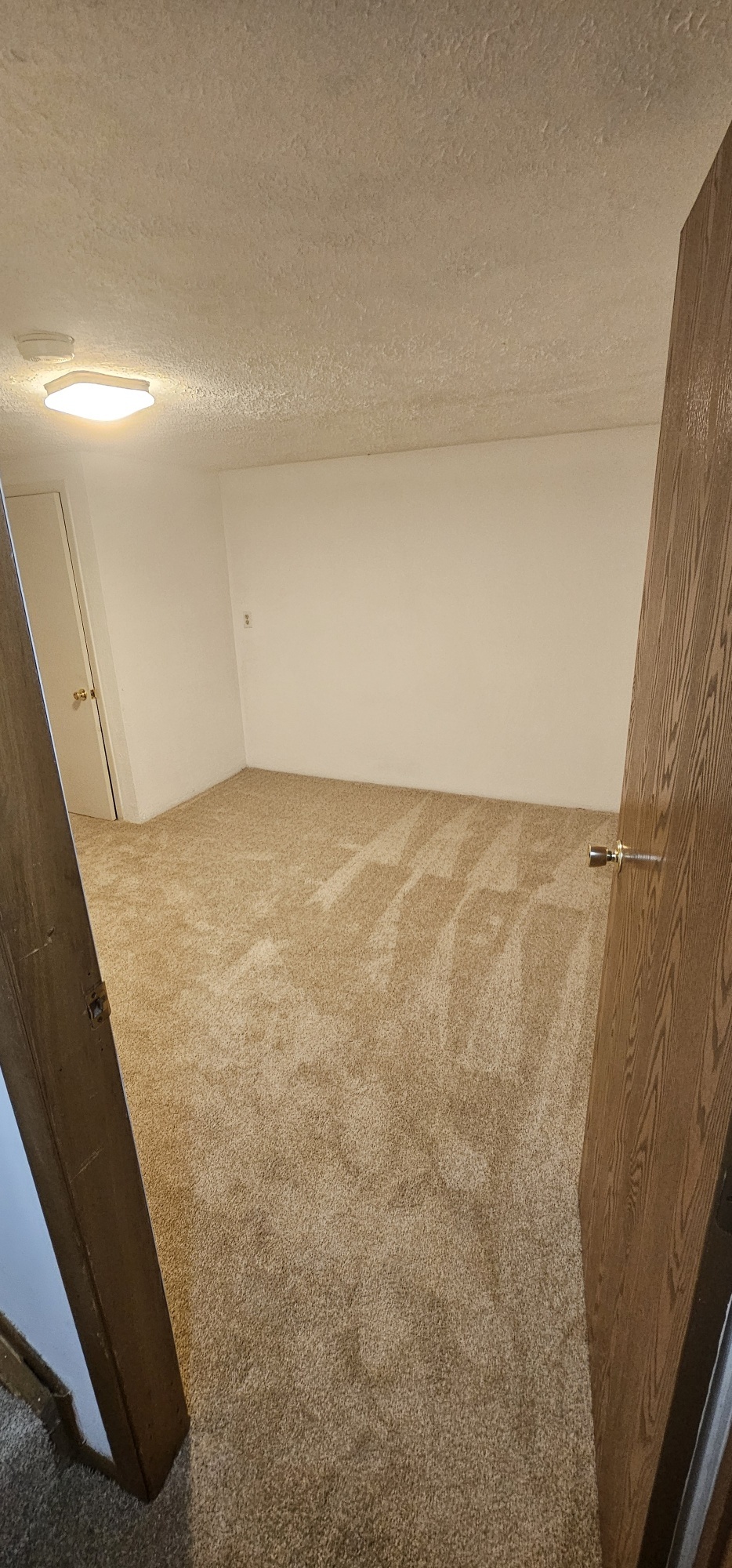 new carpet in basement room - 890 Worthington Woods Blvd