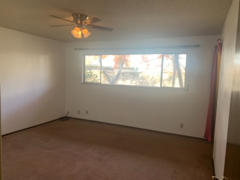 Building Photo - 810 Madrone Ave