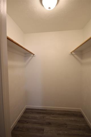 Building Photo - 961 Mossvine Dr