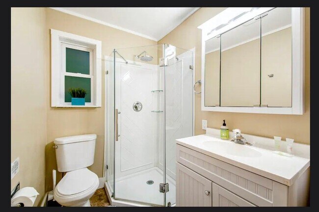 Bathroom - 13713 Wye Lake Blvd SW