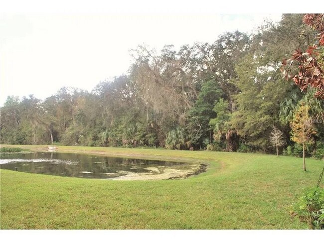 Building Photo - 4411 Silver Falls Dr