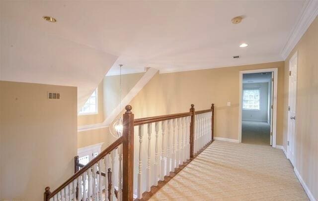 Building Photo - 115 White River Ct
