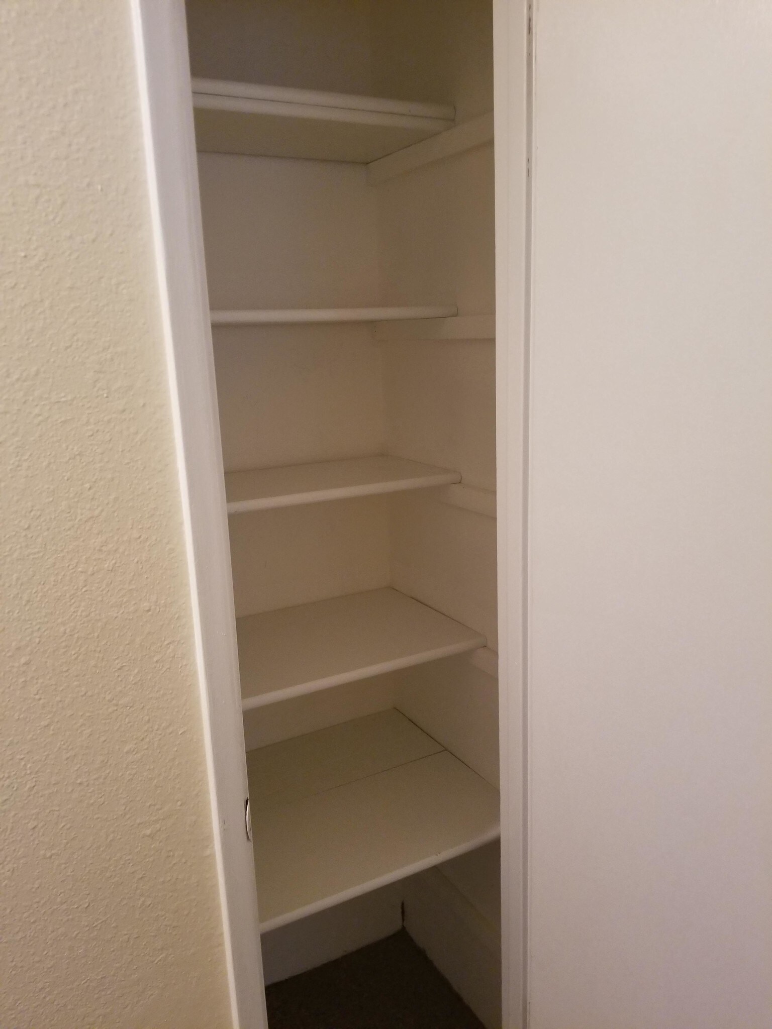 Building Photo - 509 Constitution Ave S