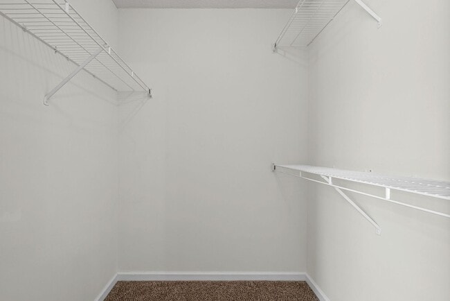 Building Photo - 3269 Tabby Dr