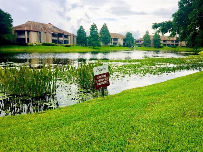 Building Photo - 10263 Gandy Blvd N