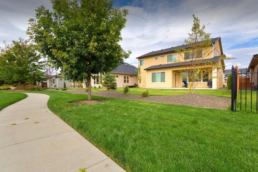 Back yard - 517 W Cagney St