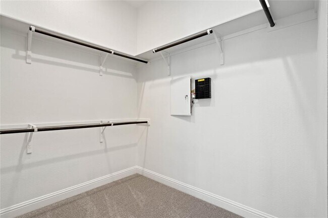 Building Photo - 5009 Mandevilla Dr