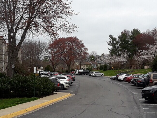 Primary Photo - 14416 Parkvale Rd