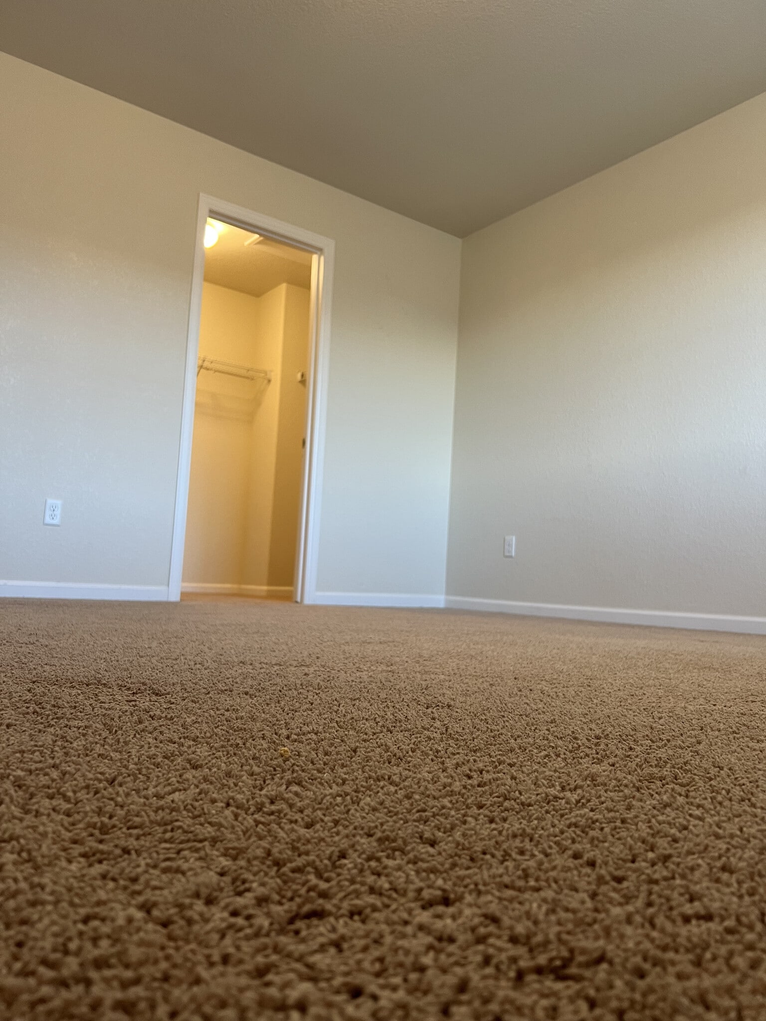 Building Photo - 1229 Bistre St