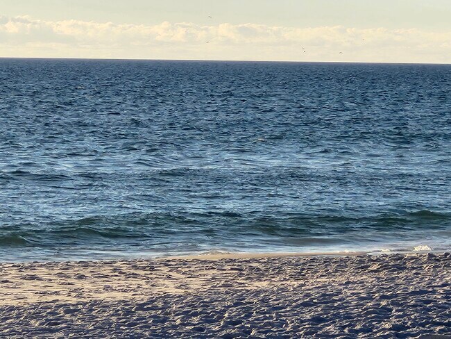 Building Photo - 8727 Thomas Dr