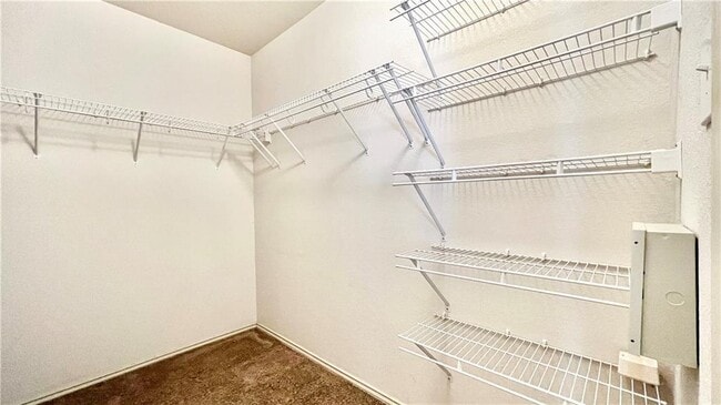 Building Photo - 3553 Rock Shelf Ln