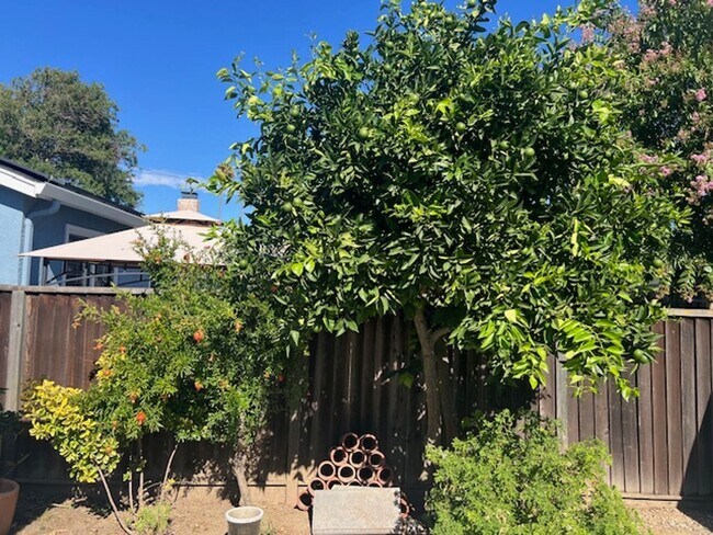 Building Photo - SAN JOSE - Single level 3 bedroom 2 bath home