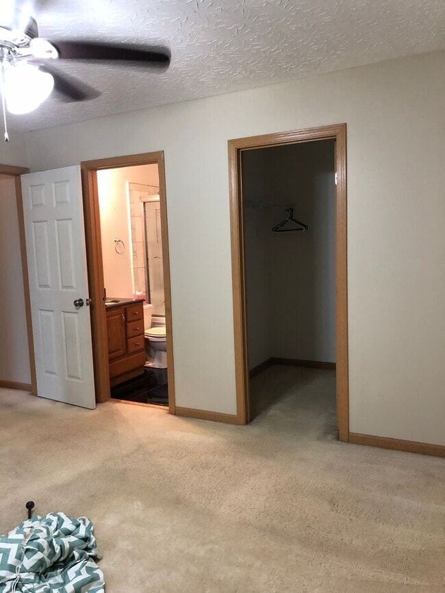 Building Photo - Beautiful 3 beds 2 baths in Loveland