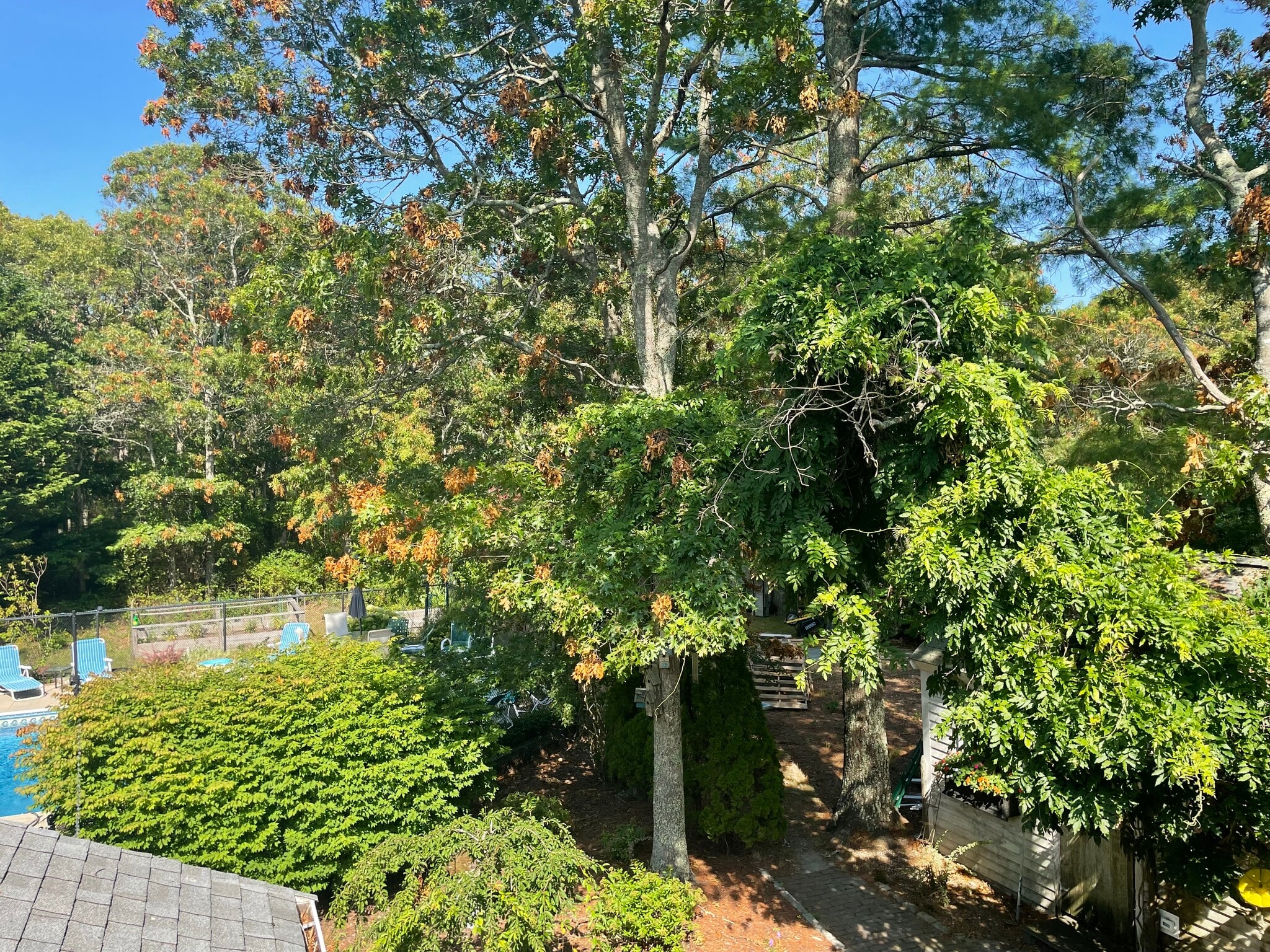 View from back deck - 20 Wilann Rd