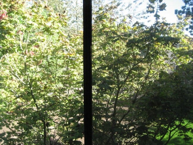 Building Photo - 44 Crestfield Ct