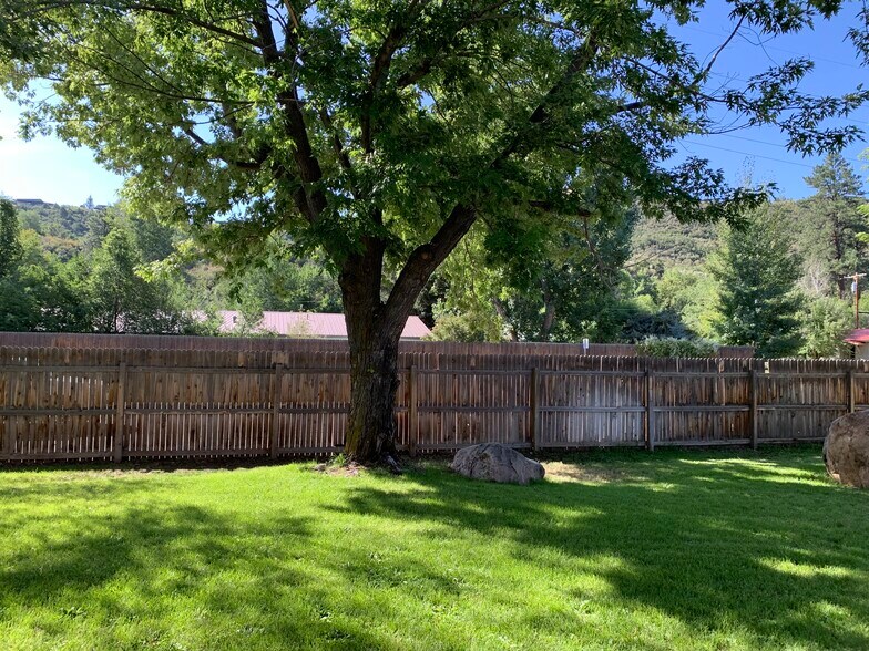 Lawn and trees at your front door - 901 Florida Rd