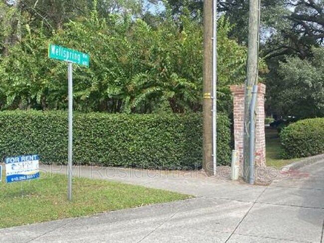 Building Photo - 1609 Wellspring Way