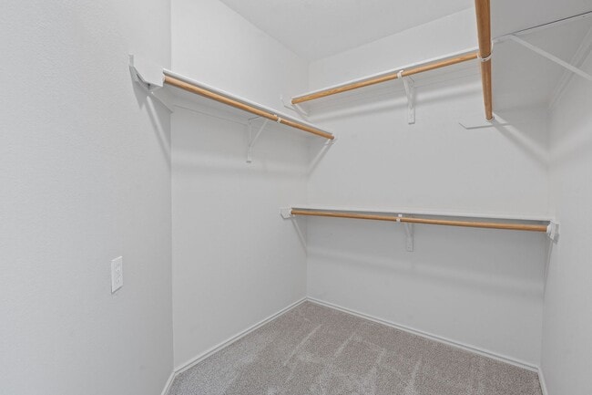 Building Photo - 909 Saba Cove