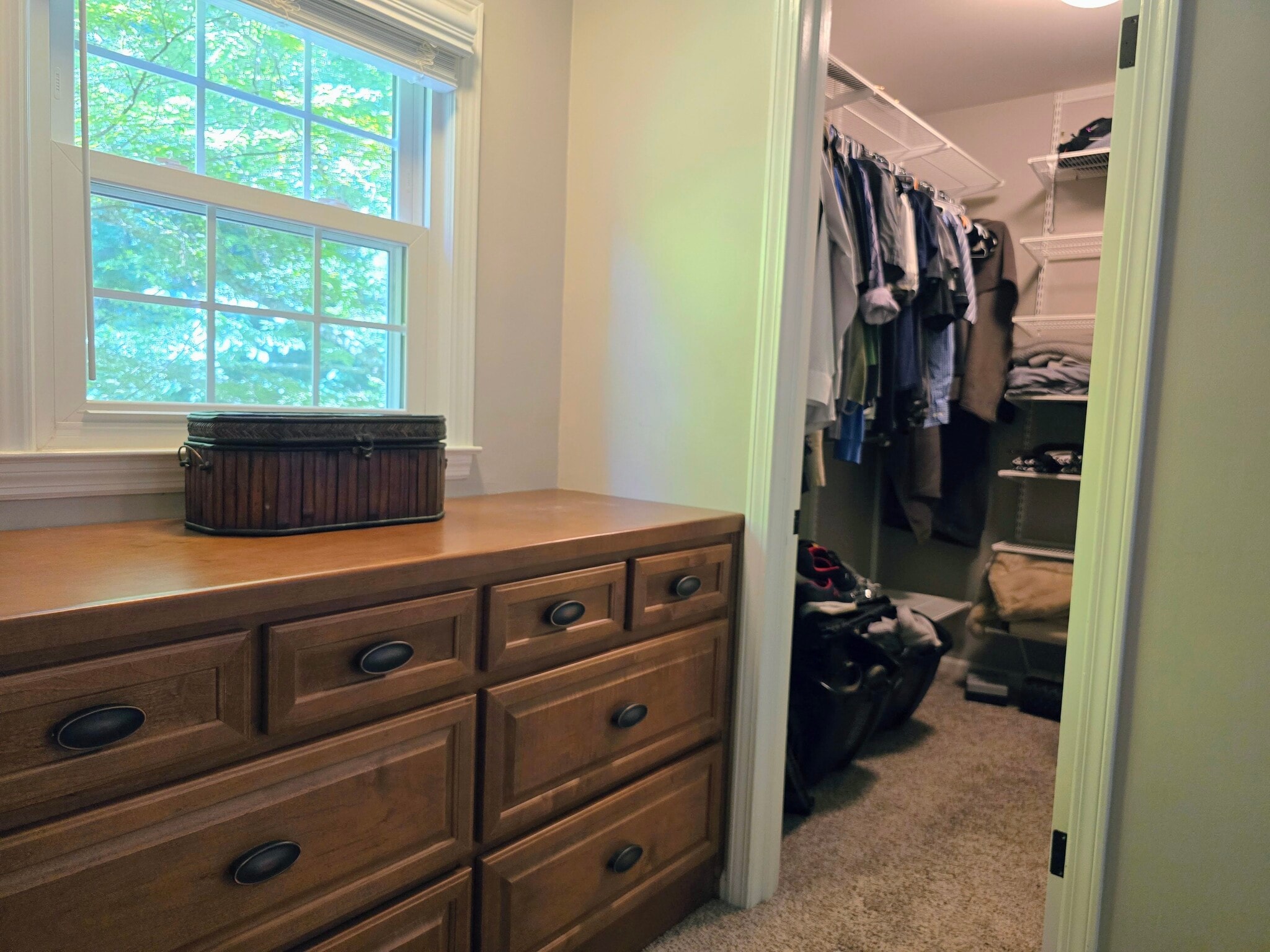 Built-in dresser and walk-in closet in primary bedroom - 90 Martin Point Ct
