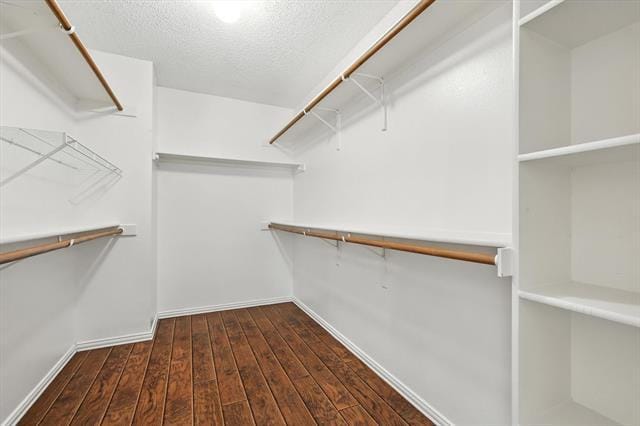 Building Photo - 1717 Newton Dr
