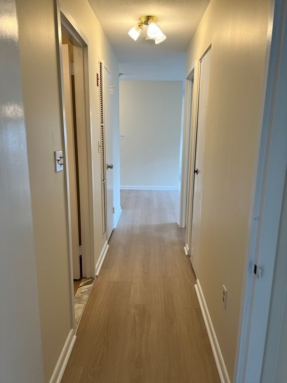 Building Photo - 1002 Paradise Rd