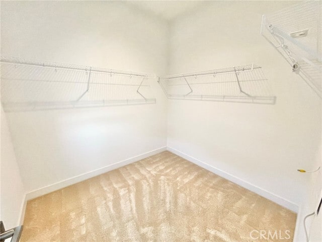 Building Photo - 480 Shelby Ln