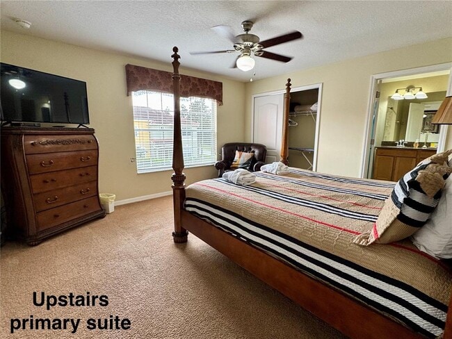 Building Photo - 8977 Coco Palm Rd