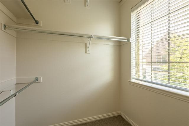 Building Photo - 4658d Rhett Ln