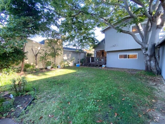 Building Photo - 1810 Pacific Ave