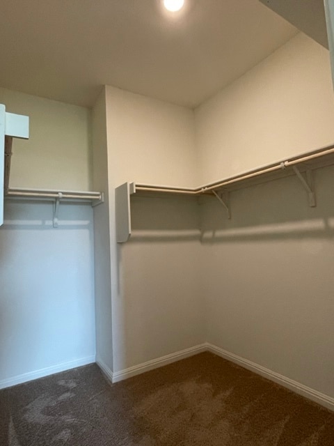 Building Photo - 532 Peony Ct