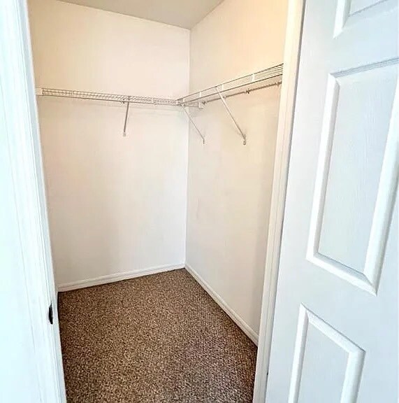 Primary Bedroom Walk-In Closet - 14870 Pleasant Bay Ln