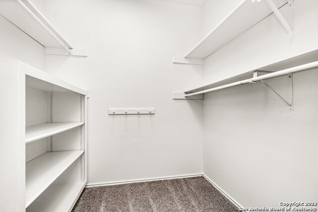 Building Photo - 2535 Wilderness Hill