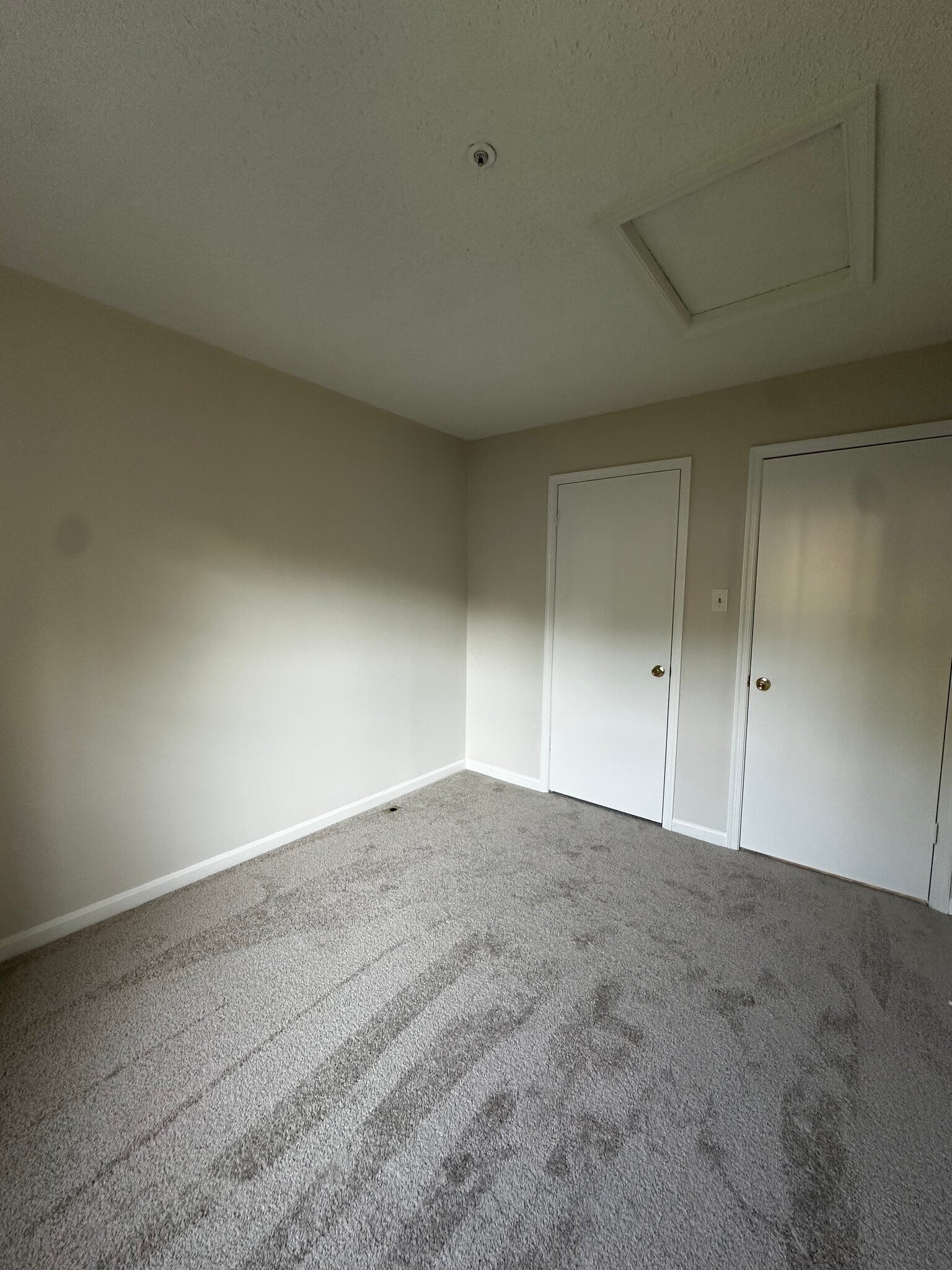 Building Photo - 2558 Ambling Cir