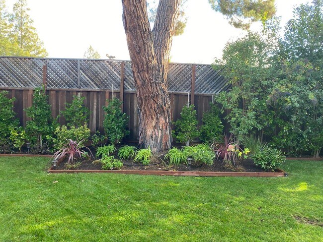 Primary Photo - 2025 Santa Cruz Ave